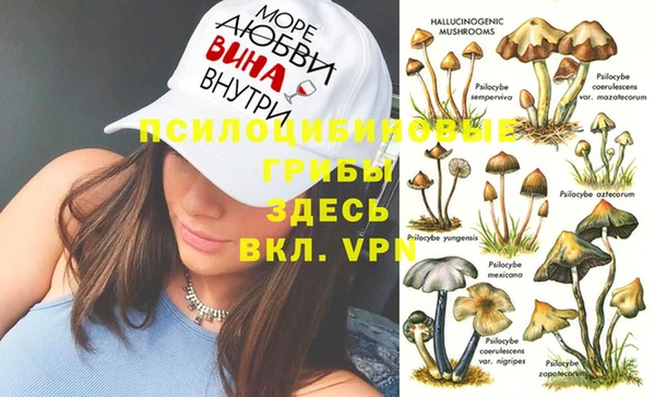 крисы Навашино