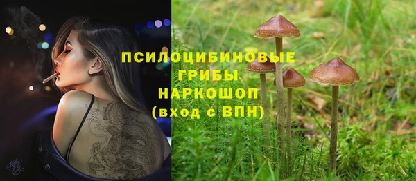крисы Навашино