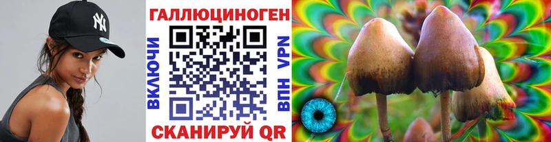 blacksprut ссылки  Константиновск  Псилоцибиновые грибы GOLDEN TEACHER 